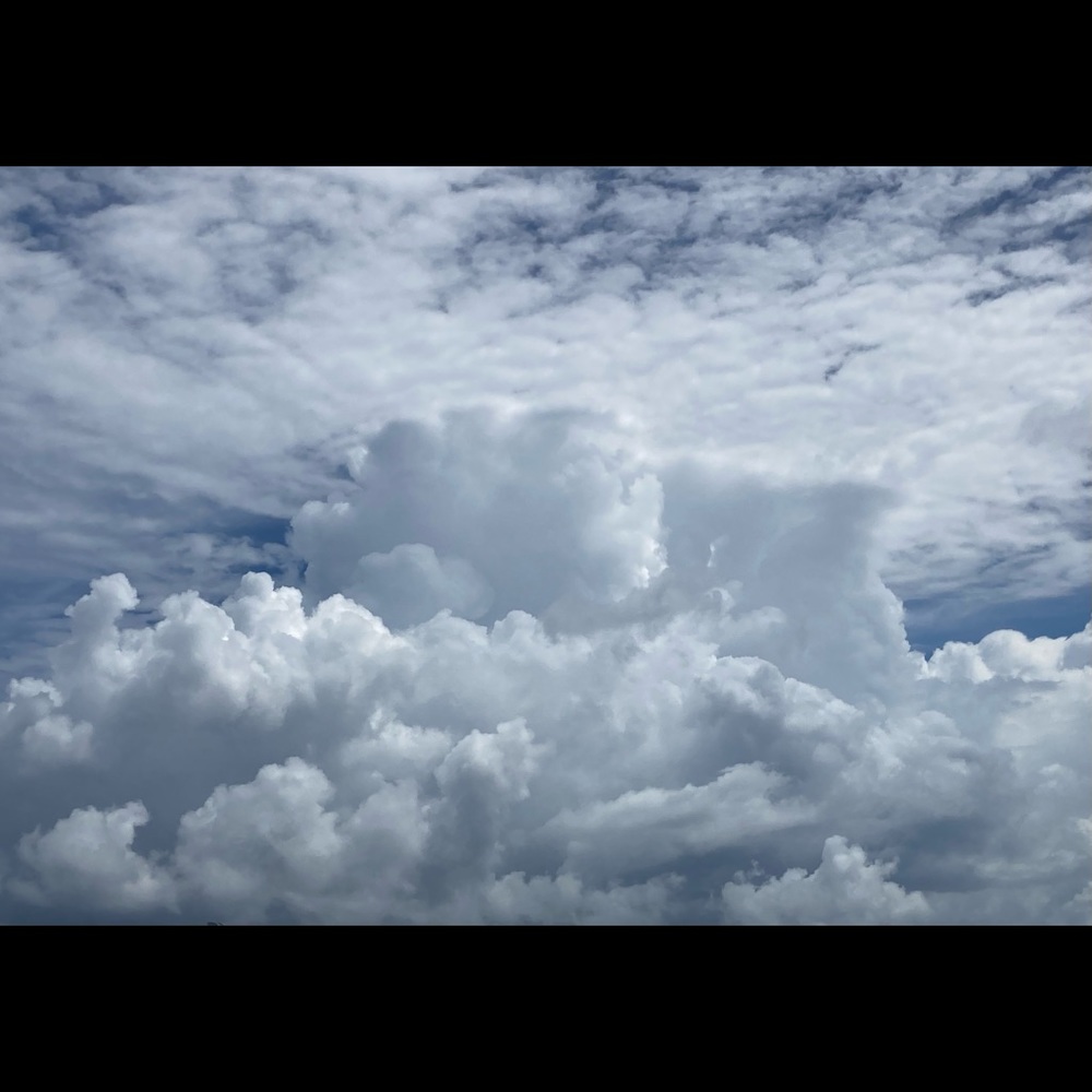 Meet your Posher, Gina